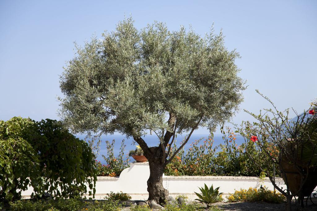 Hotel Villa Enrica - Aeolian Charme Λίπαρι Εξωτερικό φωτογραφία